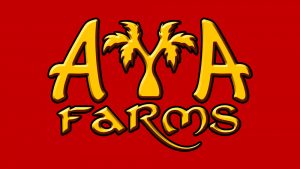 Smart Web Creative - Date Farm Company Logo