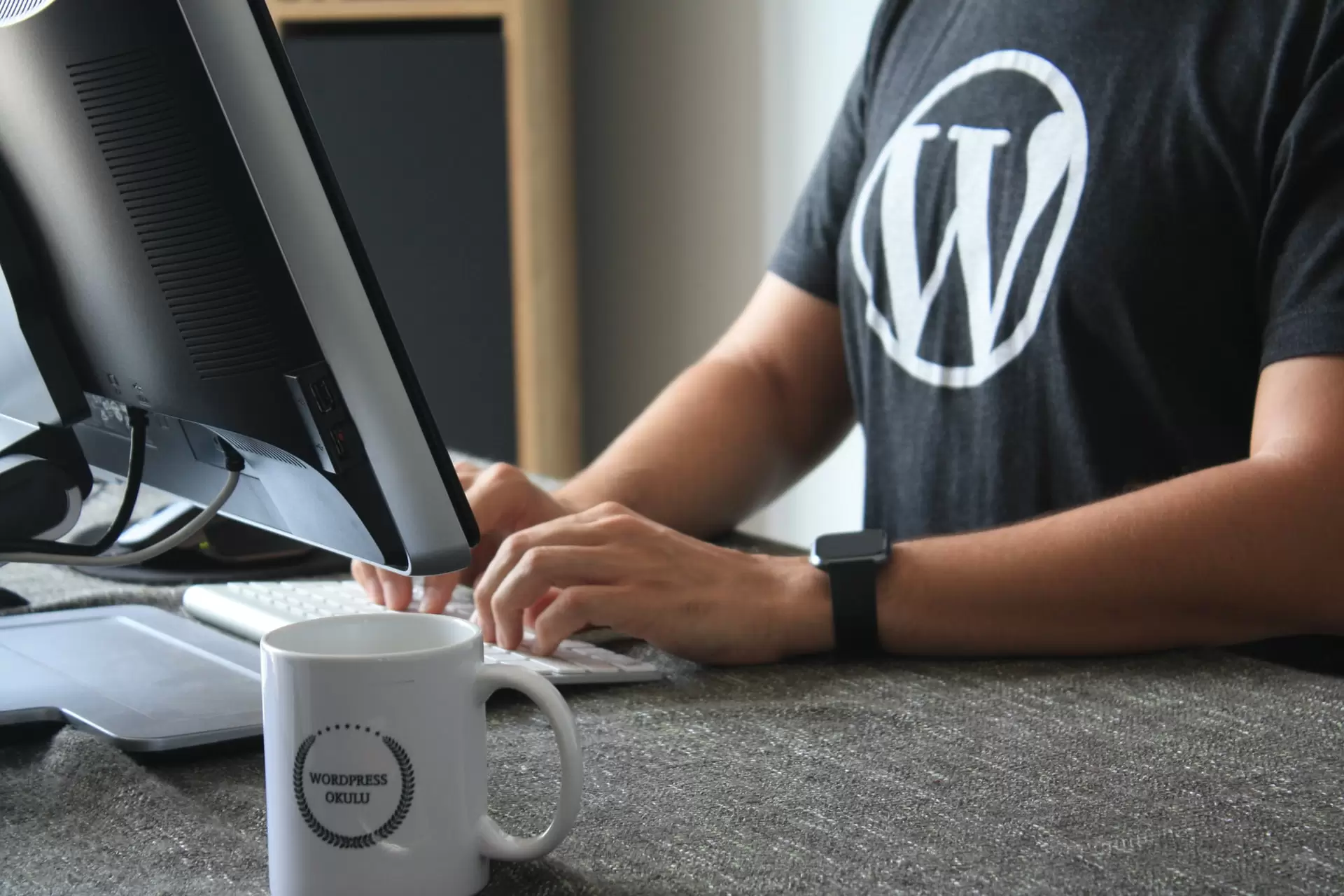 Smart Web Creative - WordPress Professional in Las Vegas