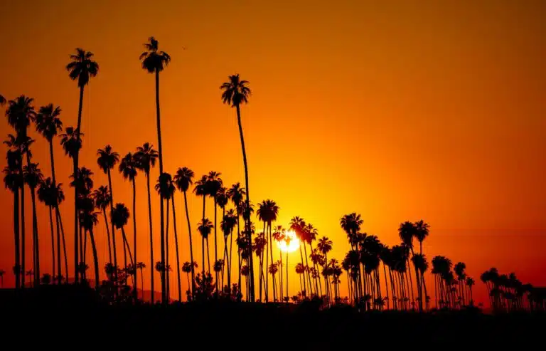 Smart Web Creative - Best WordPress Hosting in Southern California: Your Guide to Reliable and Affordable Solutions