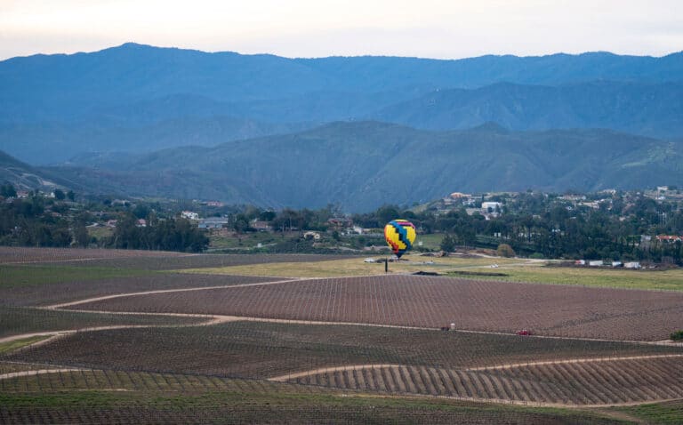 Smart Web Creative - Small business website services in Temecula CA wine country