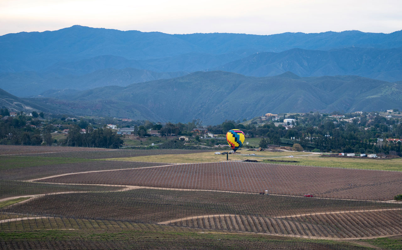 Smart Web Creative - Small business website services in Temecula CA wine country